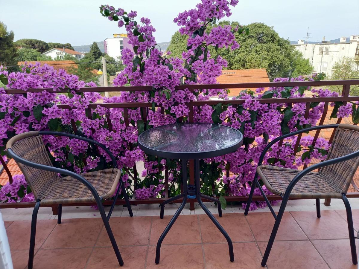 Apartmani Danica Biograd Na Moru Buitenkant foto